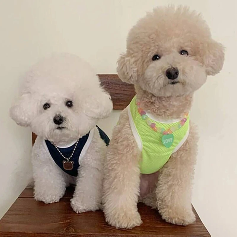 Perro pequeño con chaleco de malla rosa