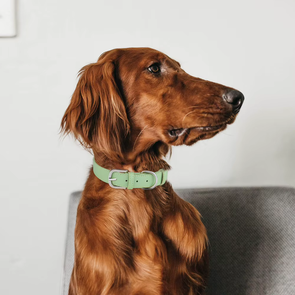 Collar ajustable de PU para perros y gatos - imagen 5