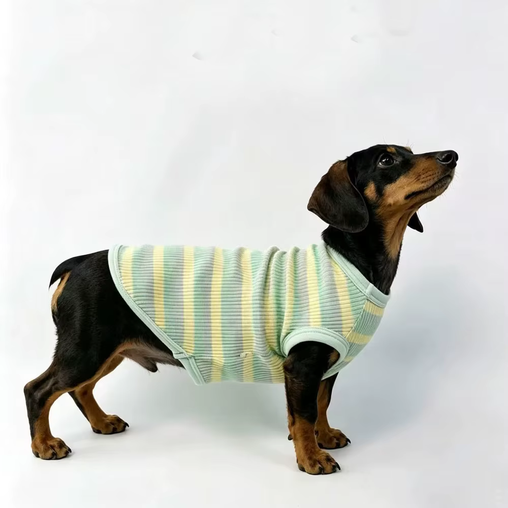 Camiseta a rayas de algodón para perro salchicha, chaleco - imagen 4