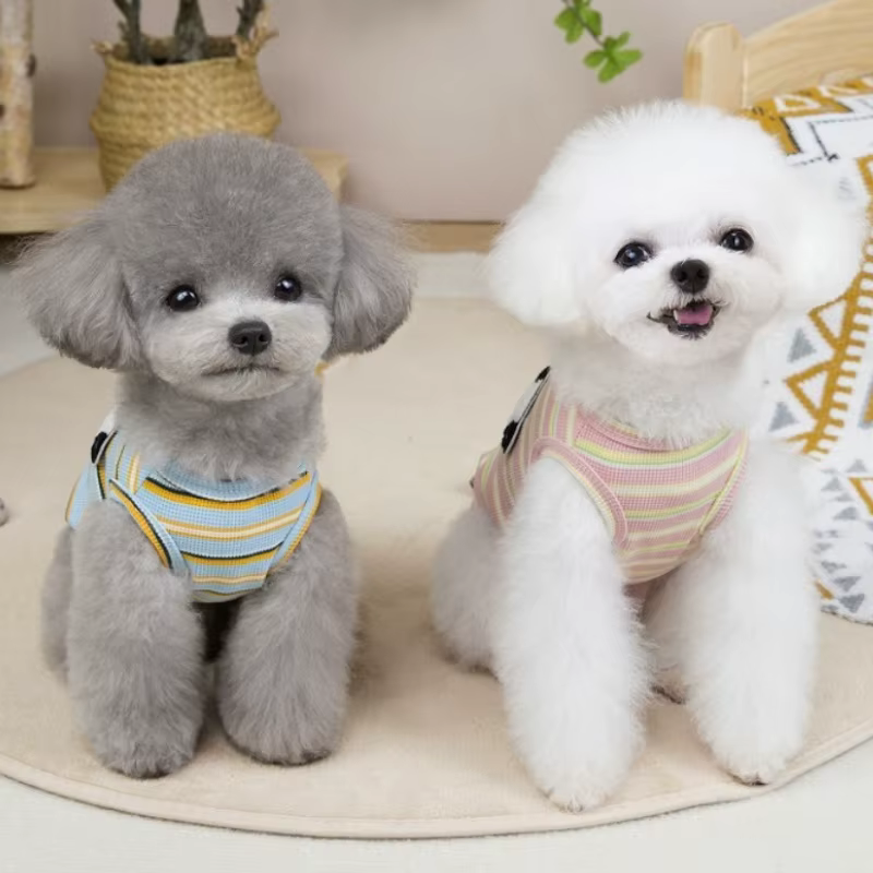 Chaleco a rayas con estampado de oso para perros y gatos pequeños