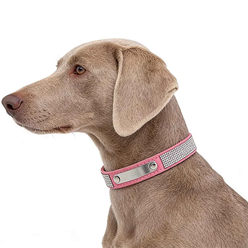 Collar antipérdida personalizado para perro y gato con teléfono - imagen 2