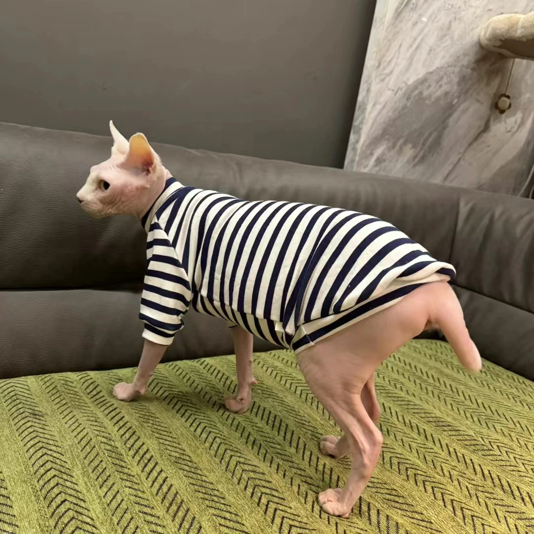 Gato usando la camisa