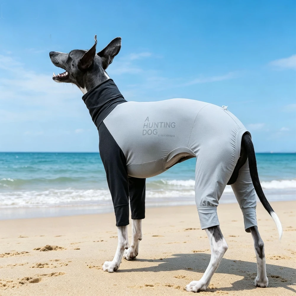 Movimiento libre del perro