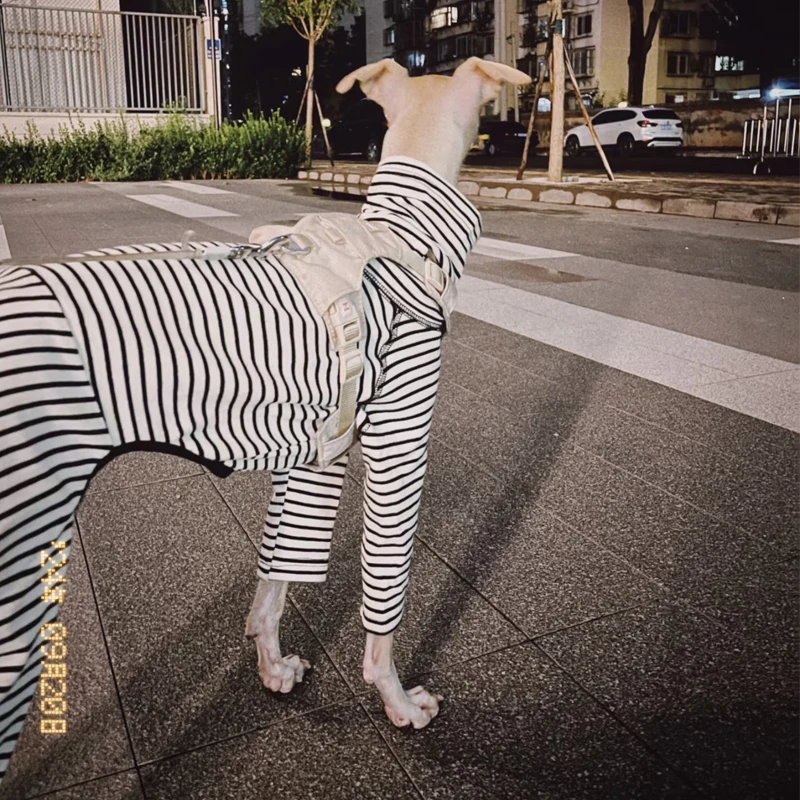 Ropa de descanso en acción