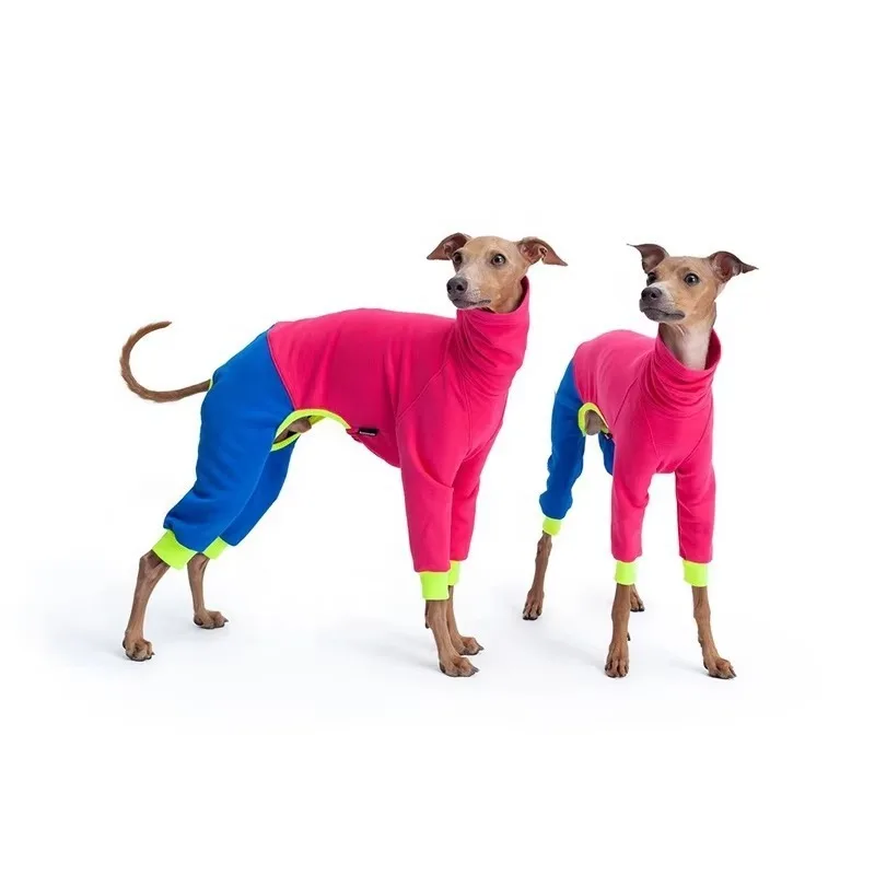 Perro con ropa de felpa en exterior