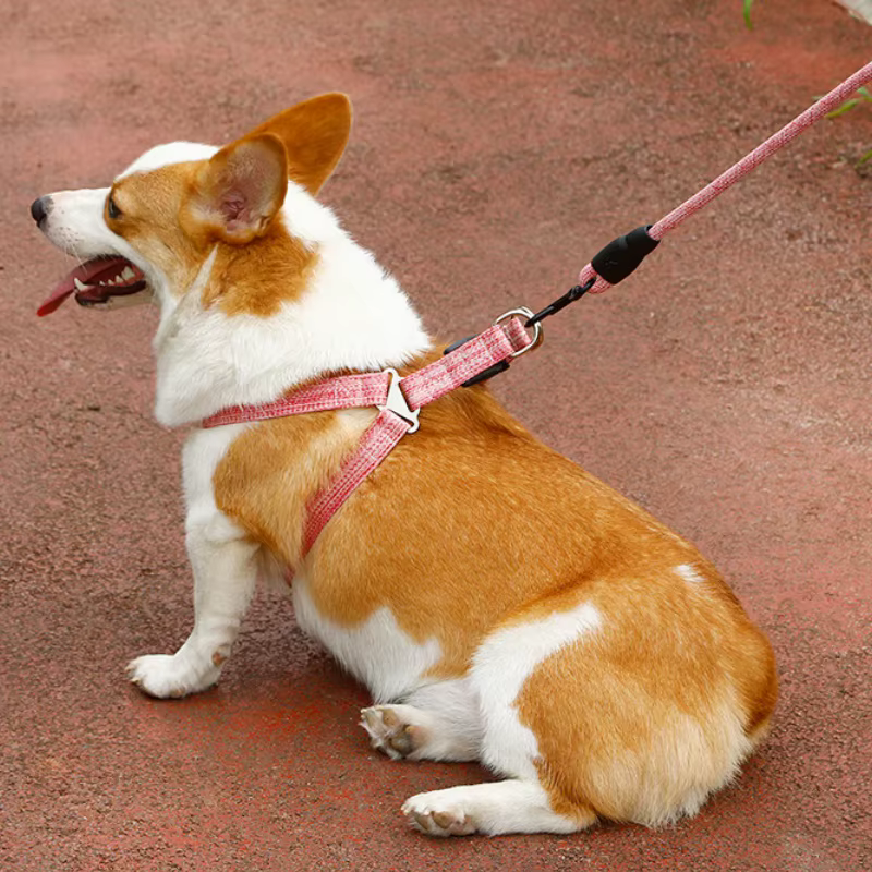 Arnés tipo chaleco ajustable para gatos y perros – Cómodo y seguro - imagen 4