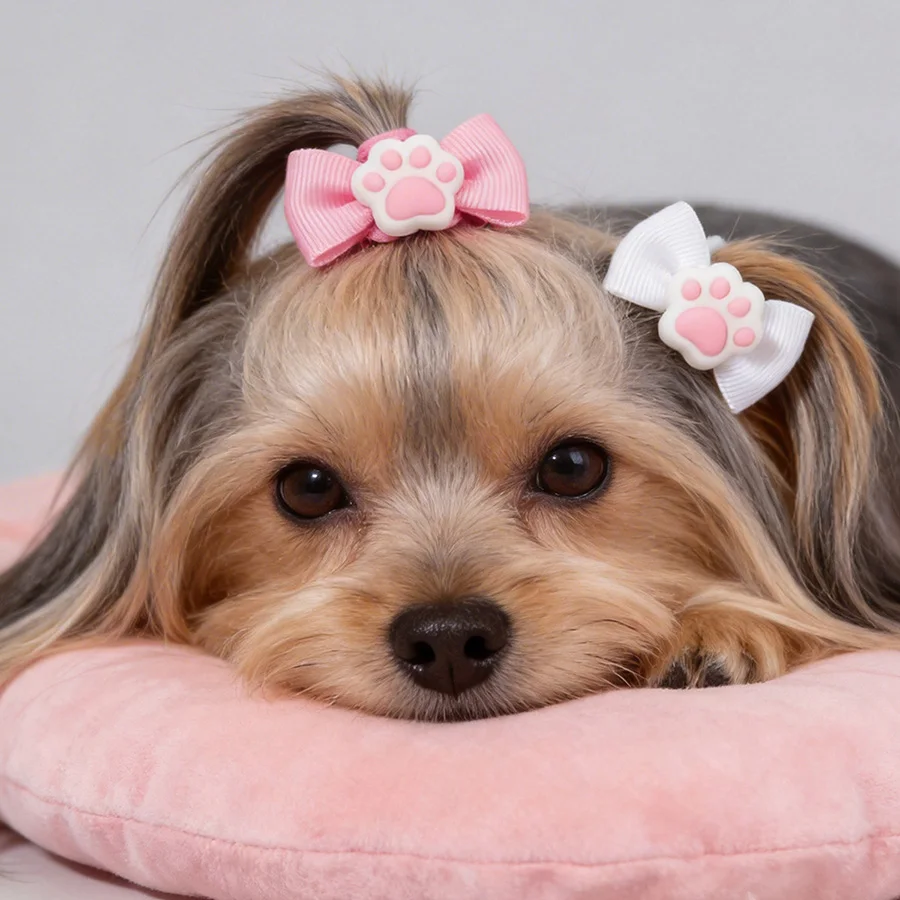 Lazos resistentes para pelo de mascota