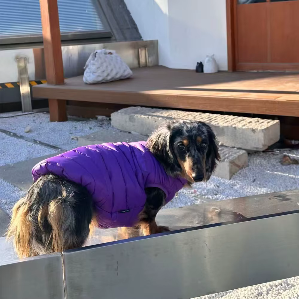 Prenda cómoda de invierno para paseos