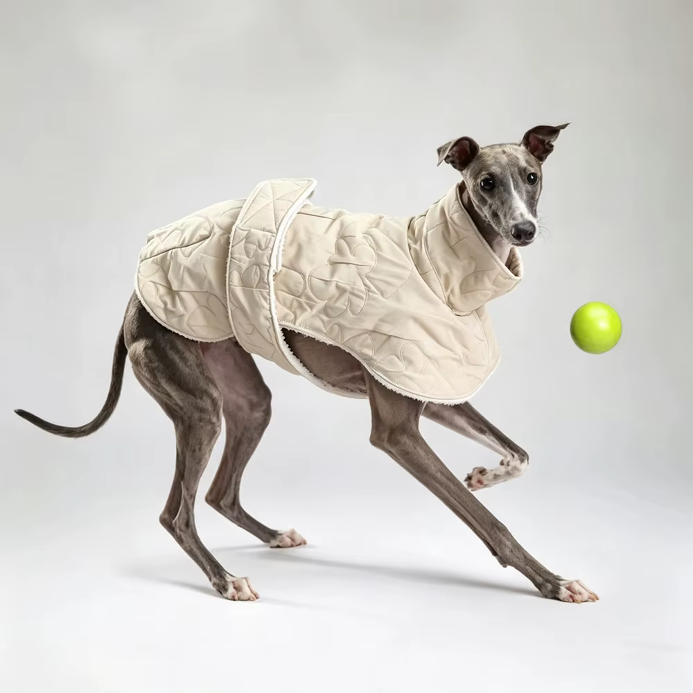 Abrigo azul invierno para galgo italiano y whippet - Cortavientos ajustable - imagen 3