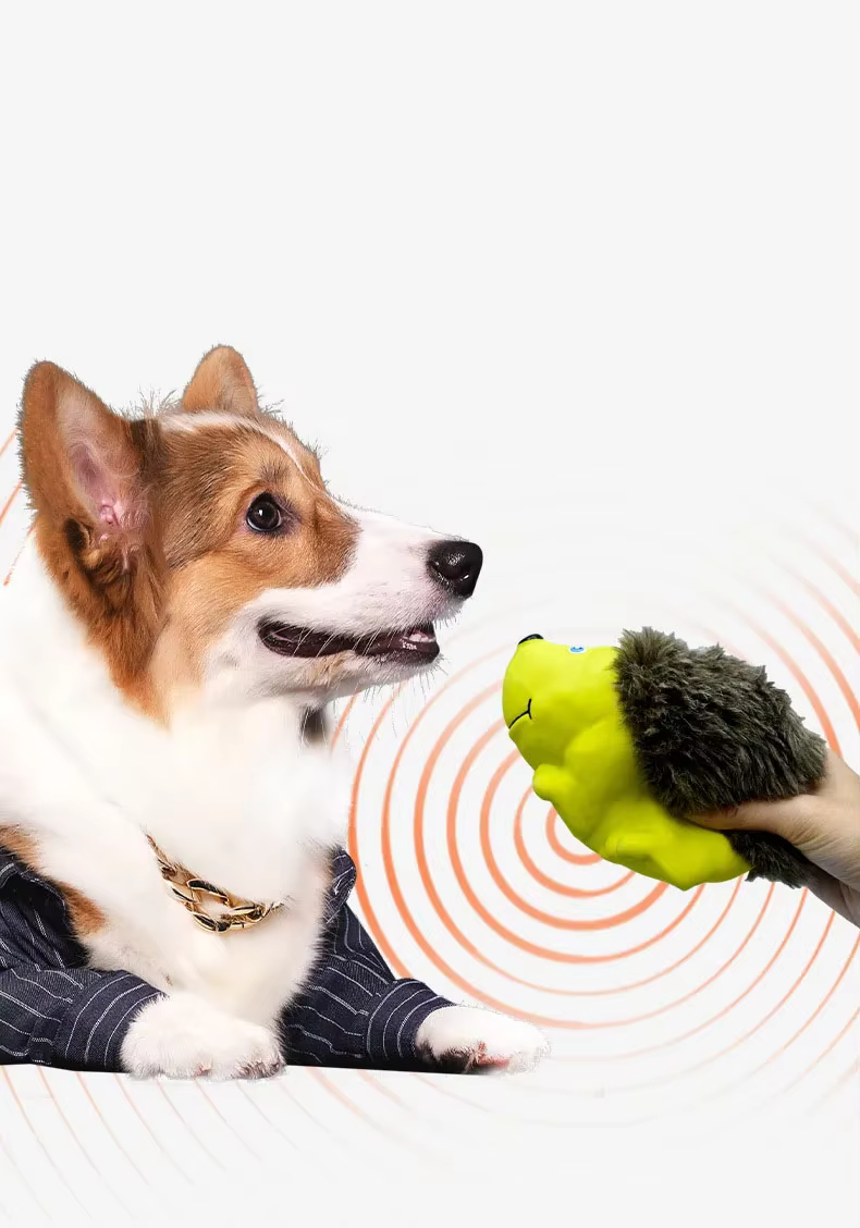 Juguete de látex para el cuidado dental canino
