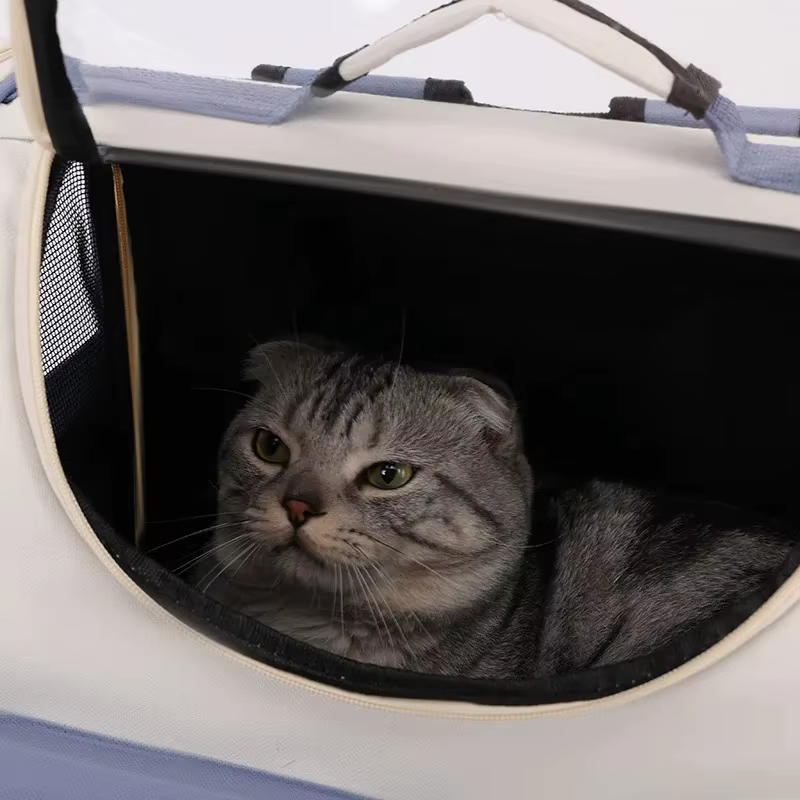 Mochila transparente transpirable para gatos y perros pequeños - imagen 2