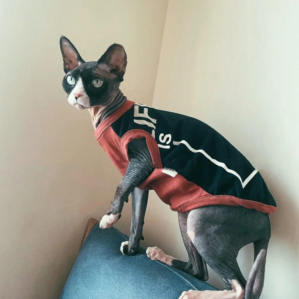 Camiseta de gato negra vista lateral