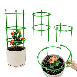 Soporte de planta semicircular de plástico con varilla para bonsái