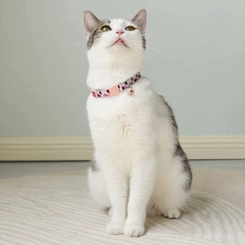 Collar con cascabel y huella personalizada para gato y perro pequeño - imagen 4