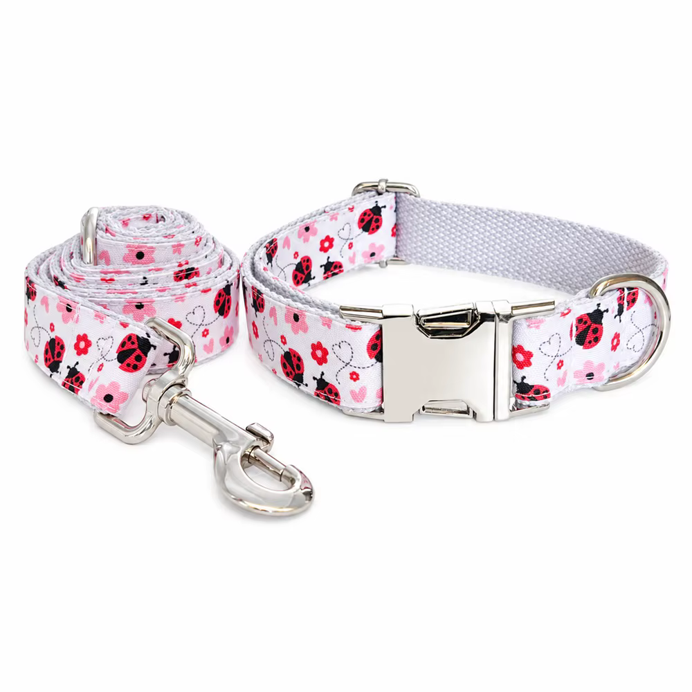 Proceso de grabado personalizado del collar para mascota