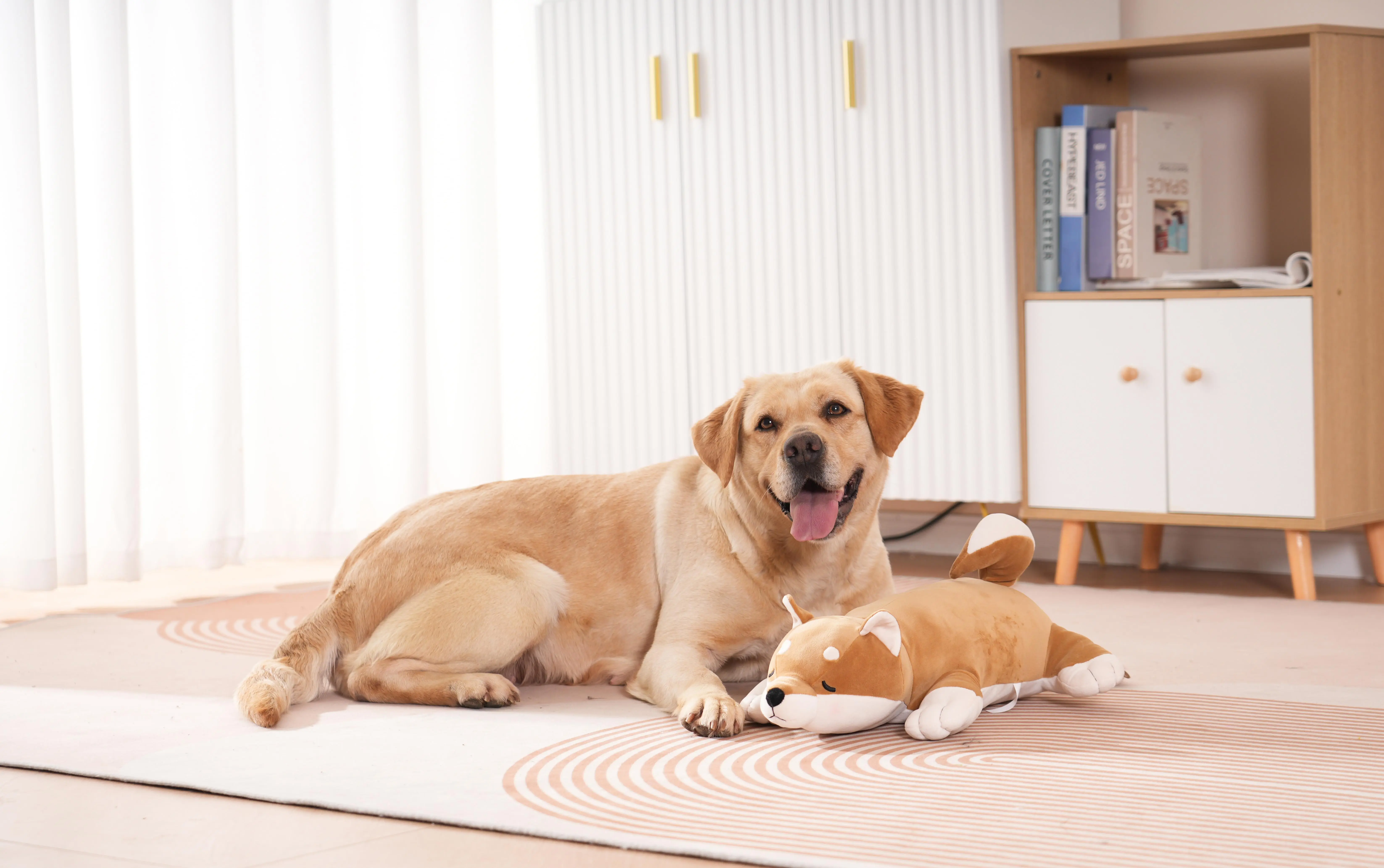 Cachorro interactuando con el peluche