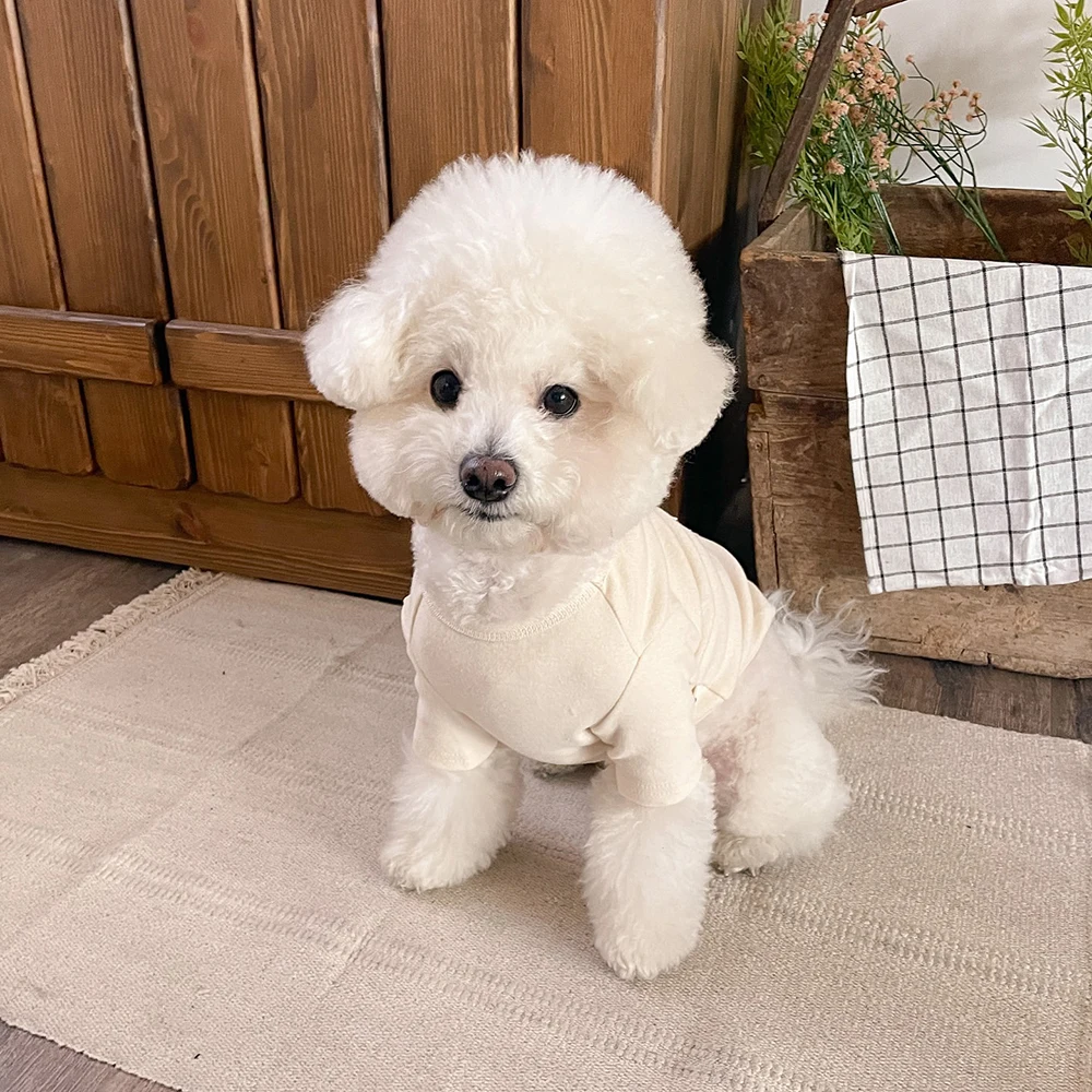 Abrigo con capucha y lazo para perro pequeño y gato – Ropa cálida - imagen 2