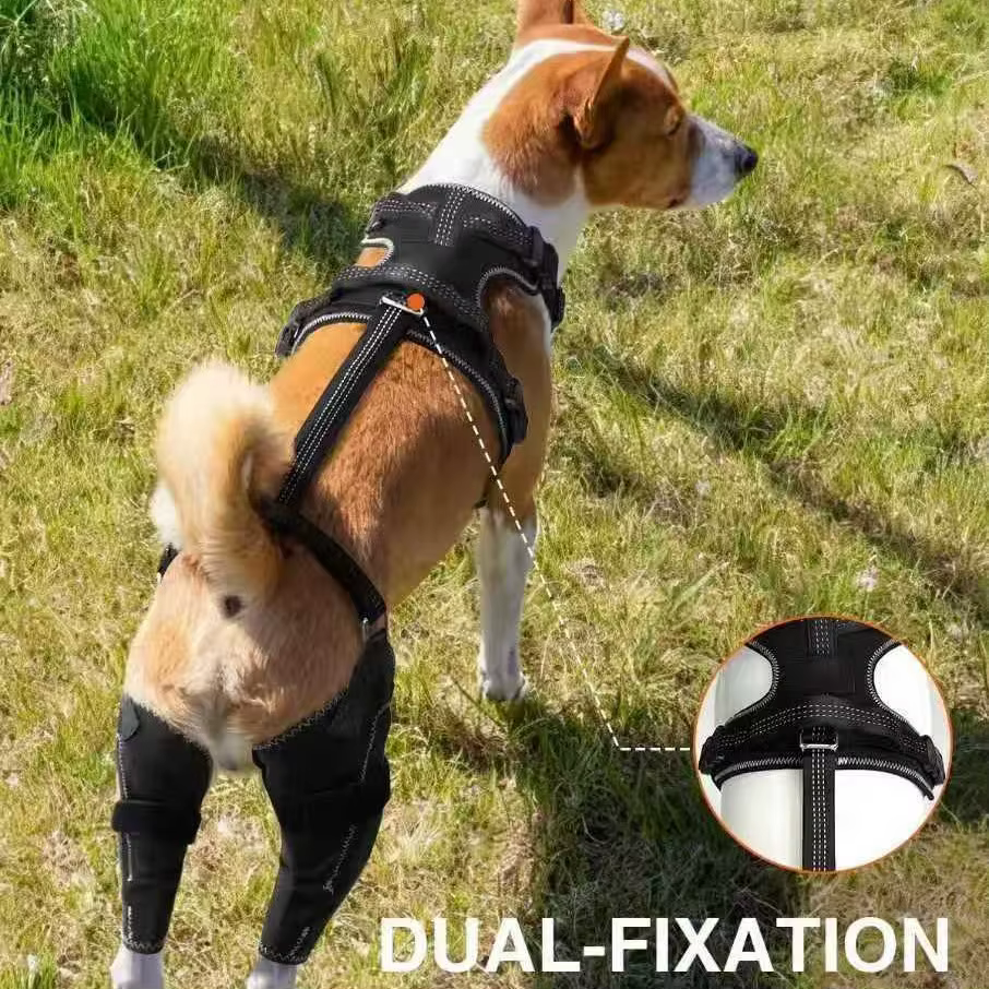 Soporte ajustable para patas traseras de perros – Funda protectora para articulaciones - imagen 5