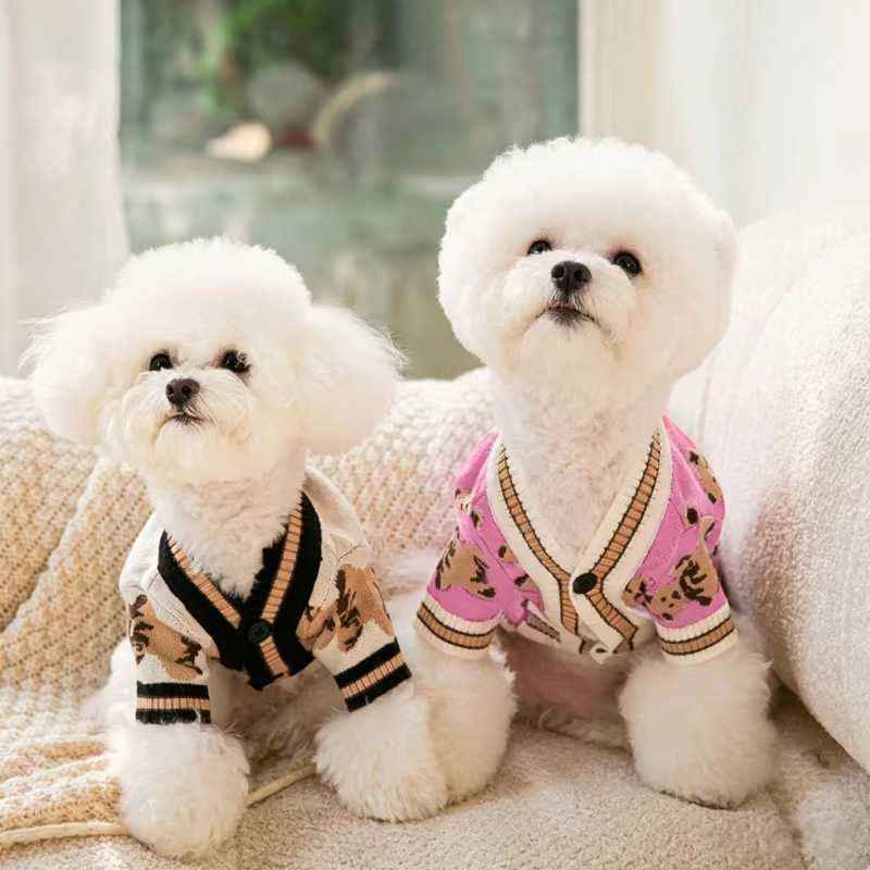 Suéter Oso para Perros – Cárdigan Cálido para Chihuahua y Bichón - imagen 4
