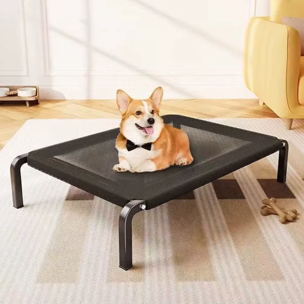 Uso de la cama elevada en exteriores con perro grande