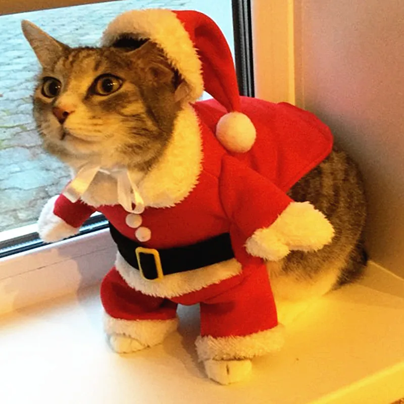 Disfraz de gato navideño en rojo
