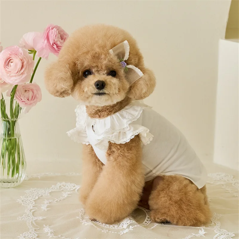 Vestido de primavera para mascotas con diseño de encaje