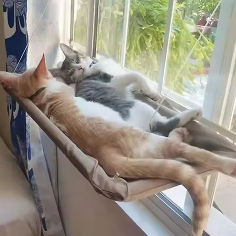 Hamaca colgante con ventosas en ventana
