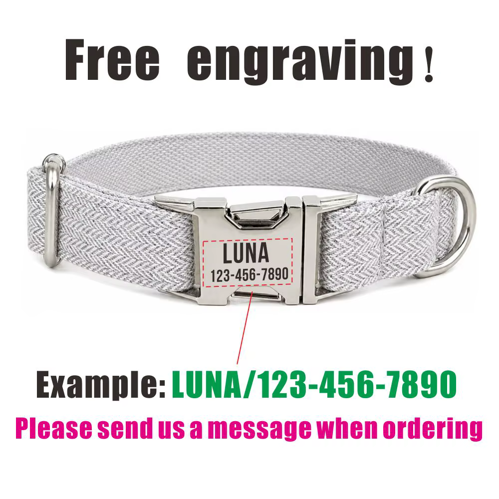 Collar de perro personalizado con nombre en tela gris claro, ajustable - imagen 3