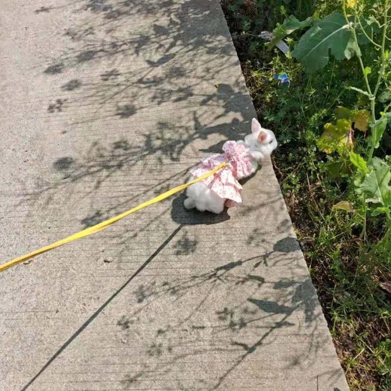 Vestido floral con arnés para conejos en diferentes situaciones