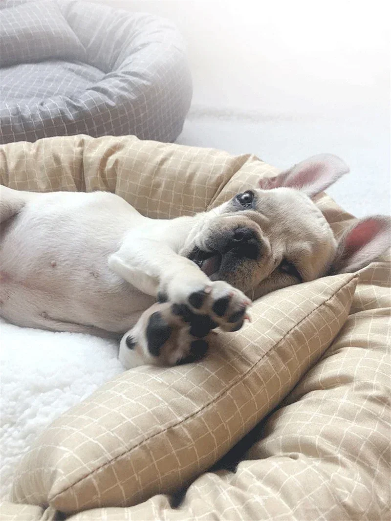 Cama redonda para mascotas 4