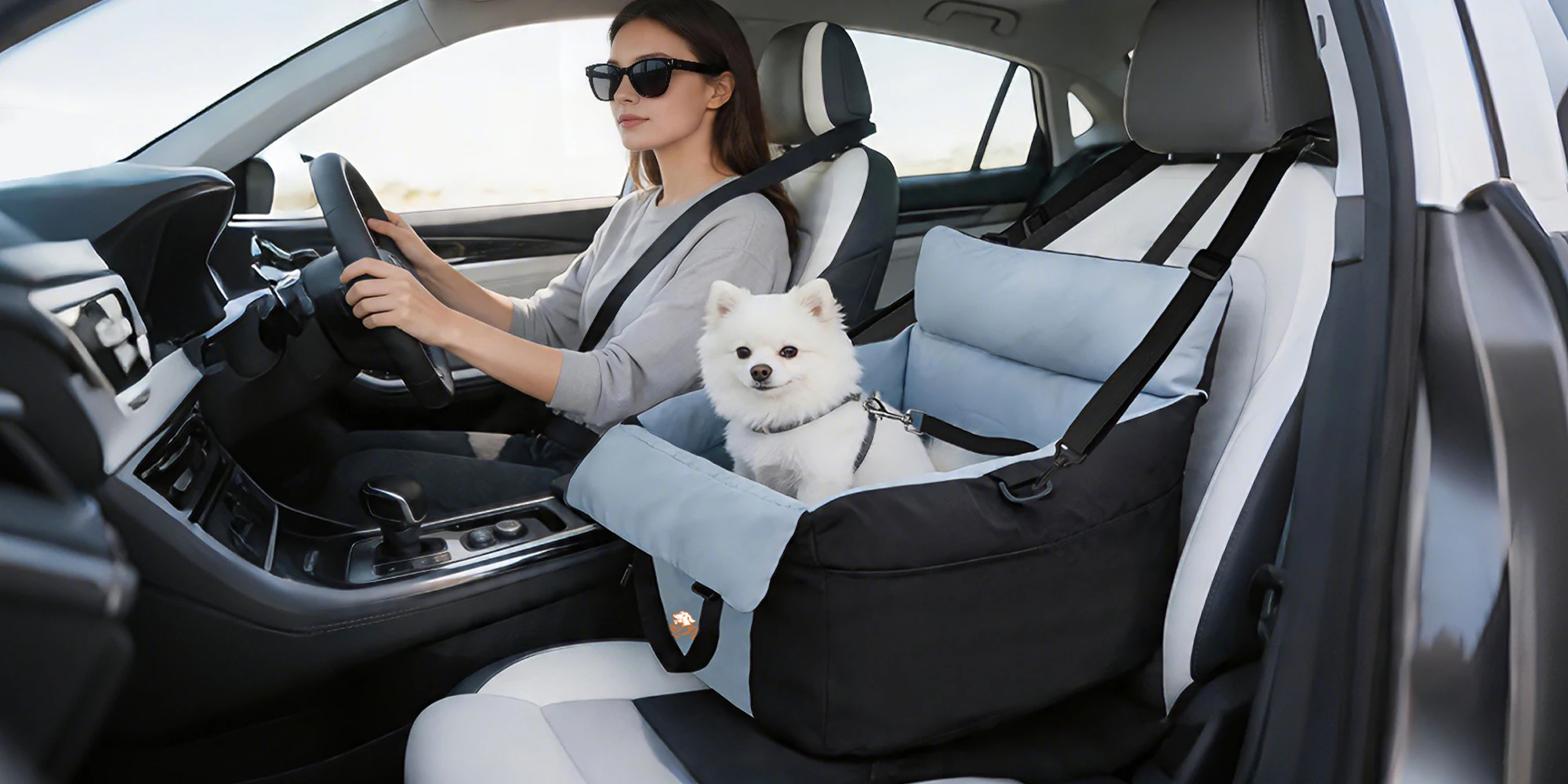 Asiento portátil para perros en color negro y azul, instalado en asiento trasero