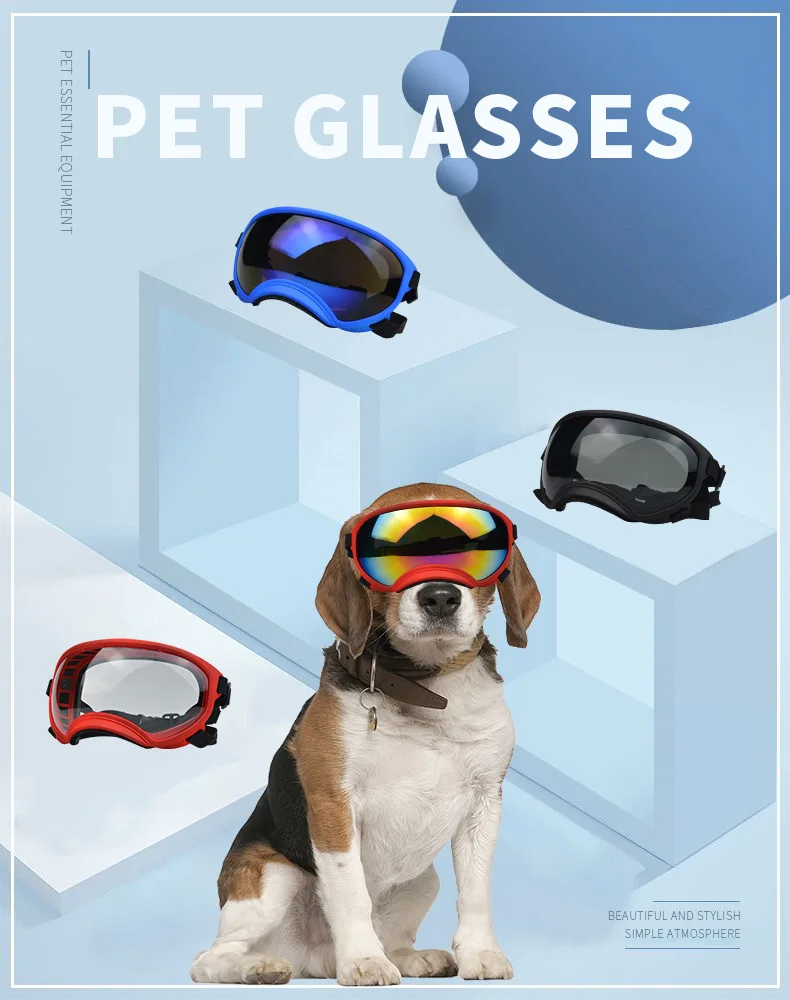 Protección ocular para perros al exterior
