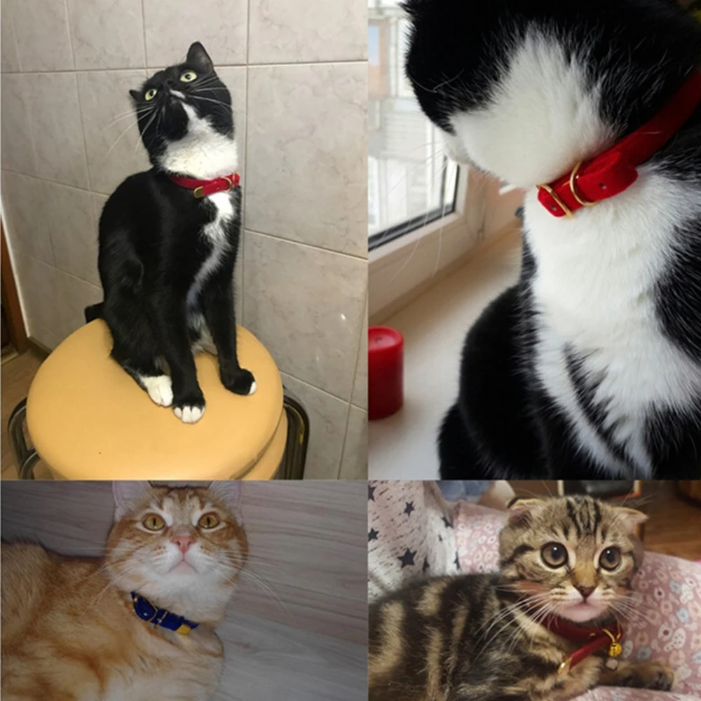 Collar ajustable para gatos y perros pequeños, seguro y resistente - imagen 4