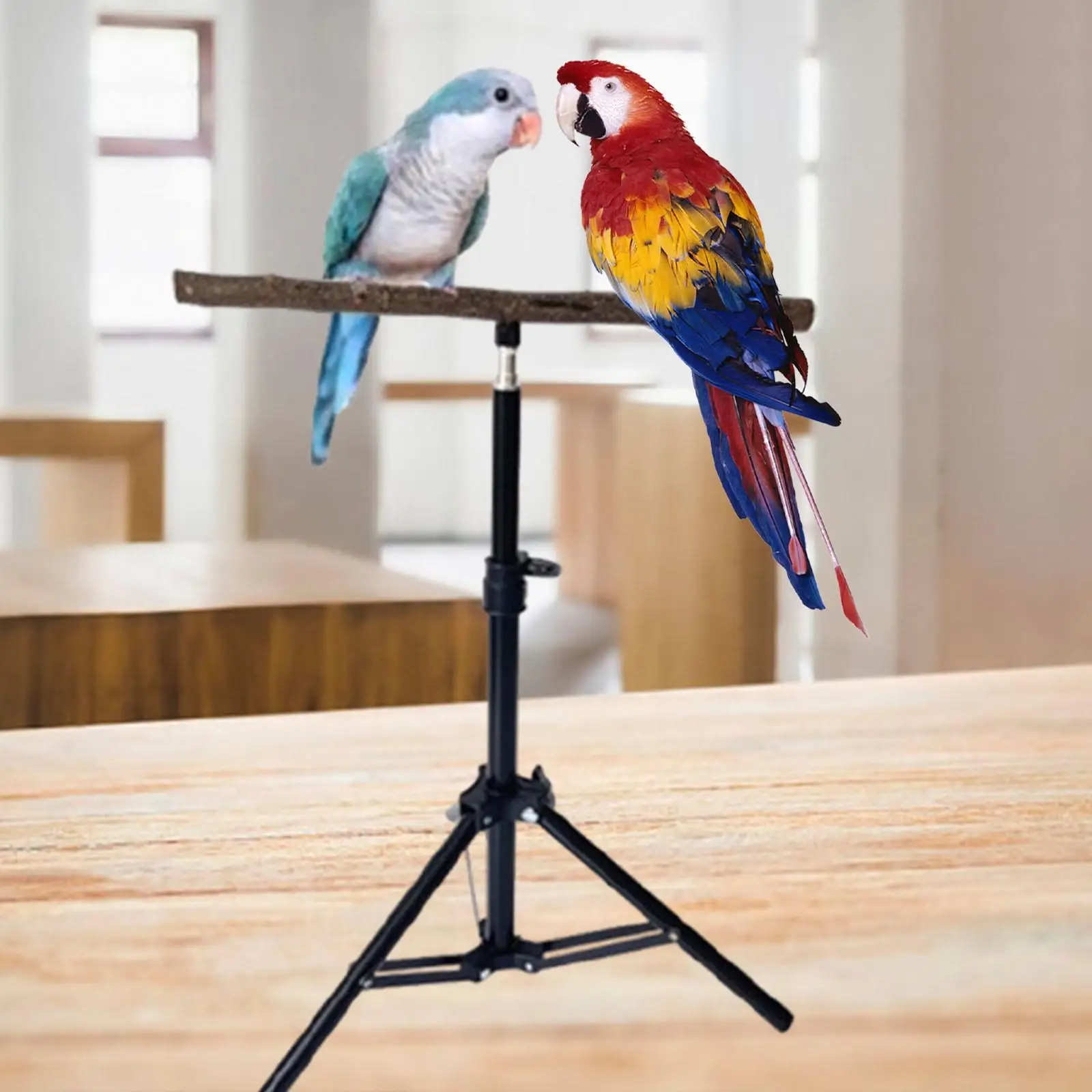 Soporte de madera con base trípode plegable