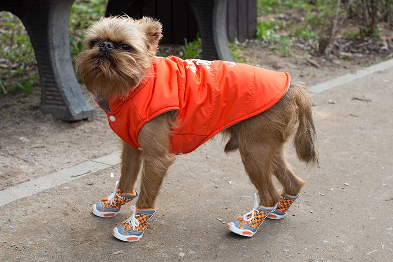 Zapatos para perros - uso en jardín