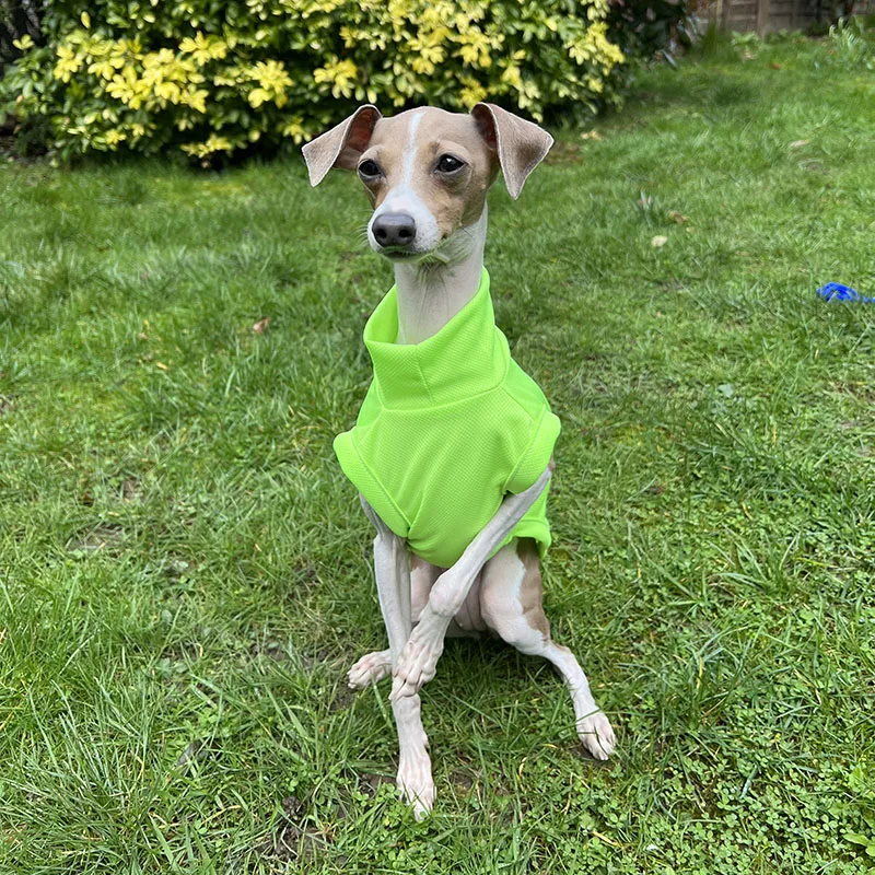 Chaleco transpirable para galgo italiano