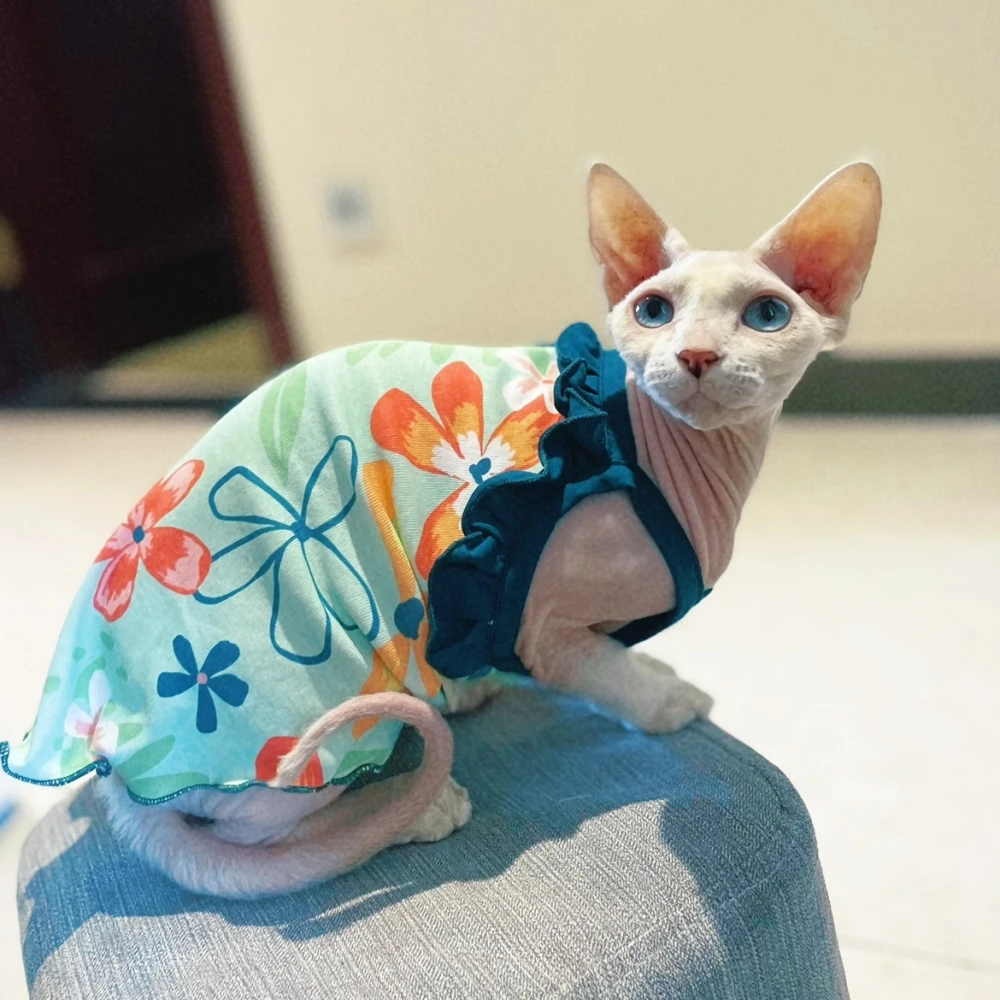 Variantes de color del vestido para gato