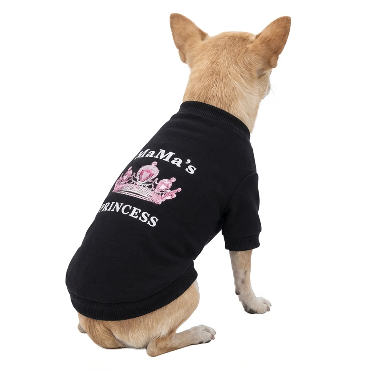 Sudadera para cachorro en uso diario