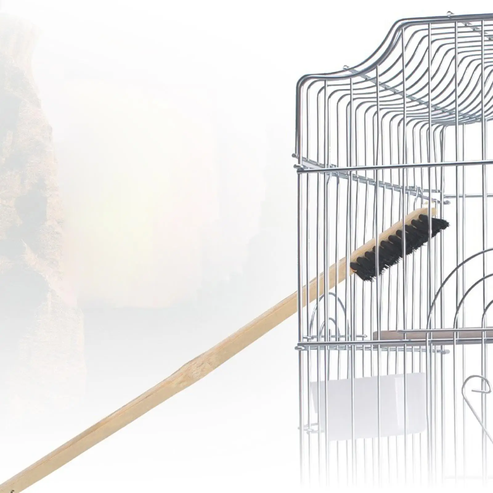 Cepillo مناسب para diferentes aves