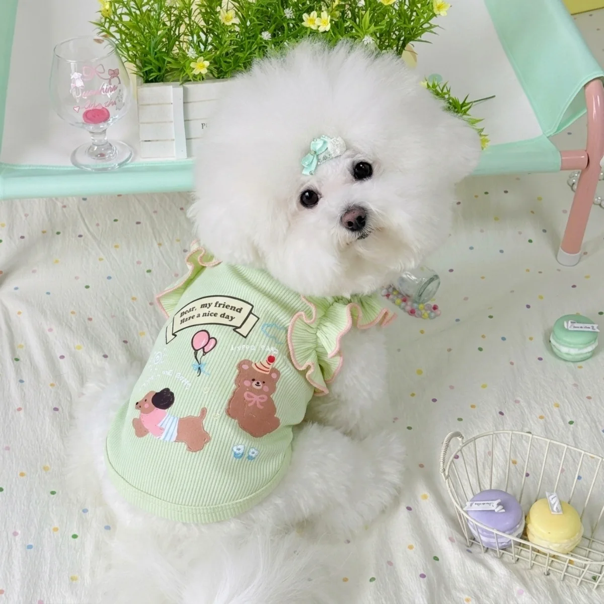 Detalle del ajuste del vestido para perro
