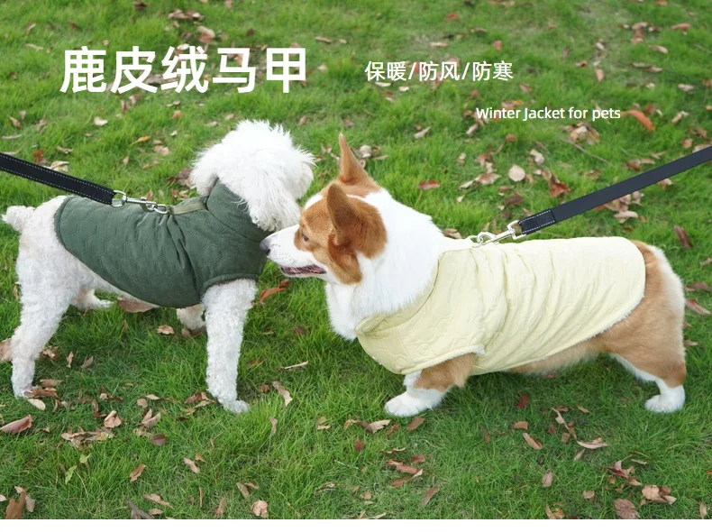 Abrigo de terciopelo para perros en color azul