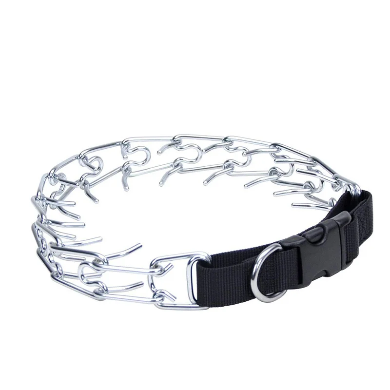 Collar en uso en perro grande