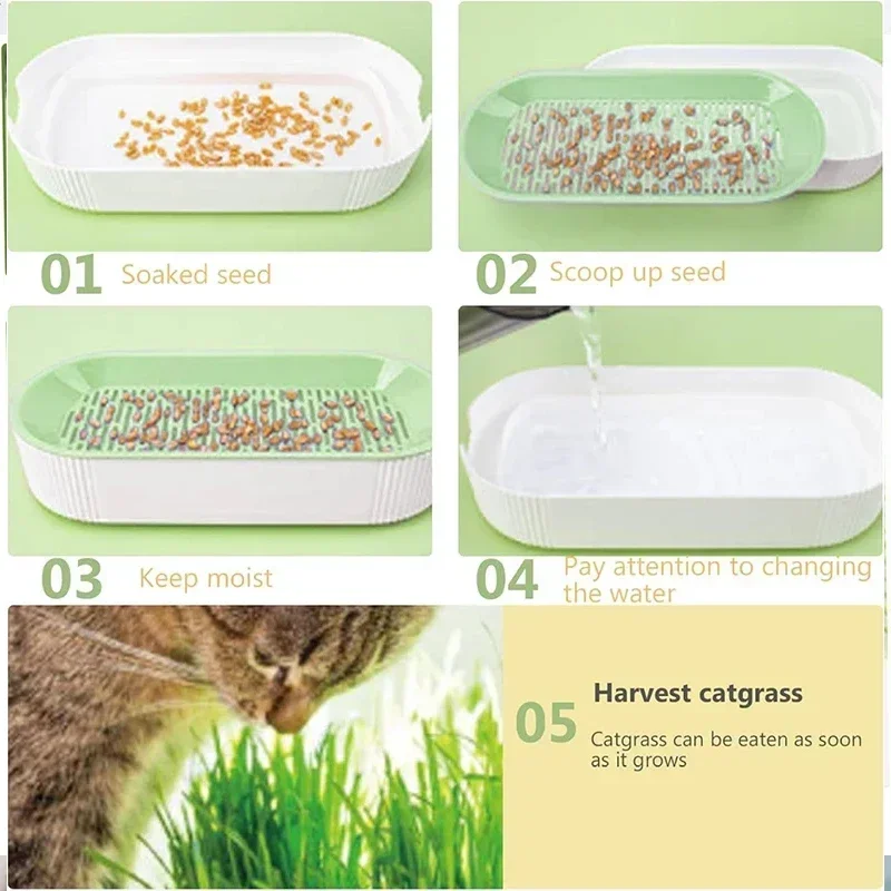 Kit hidropónico para gatos sin tierra