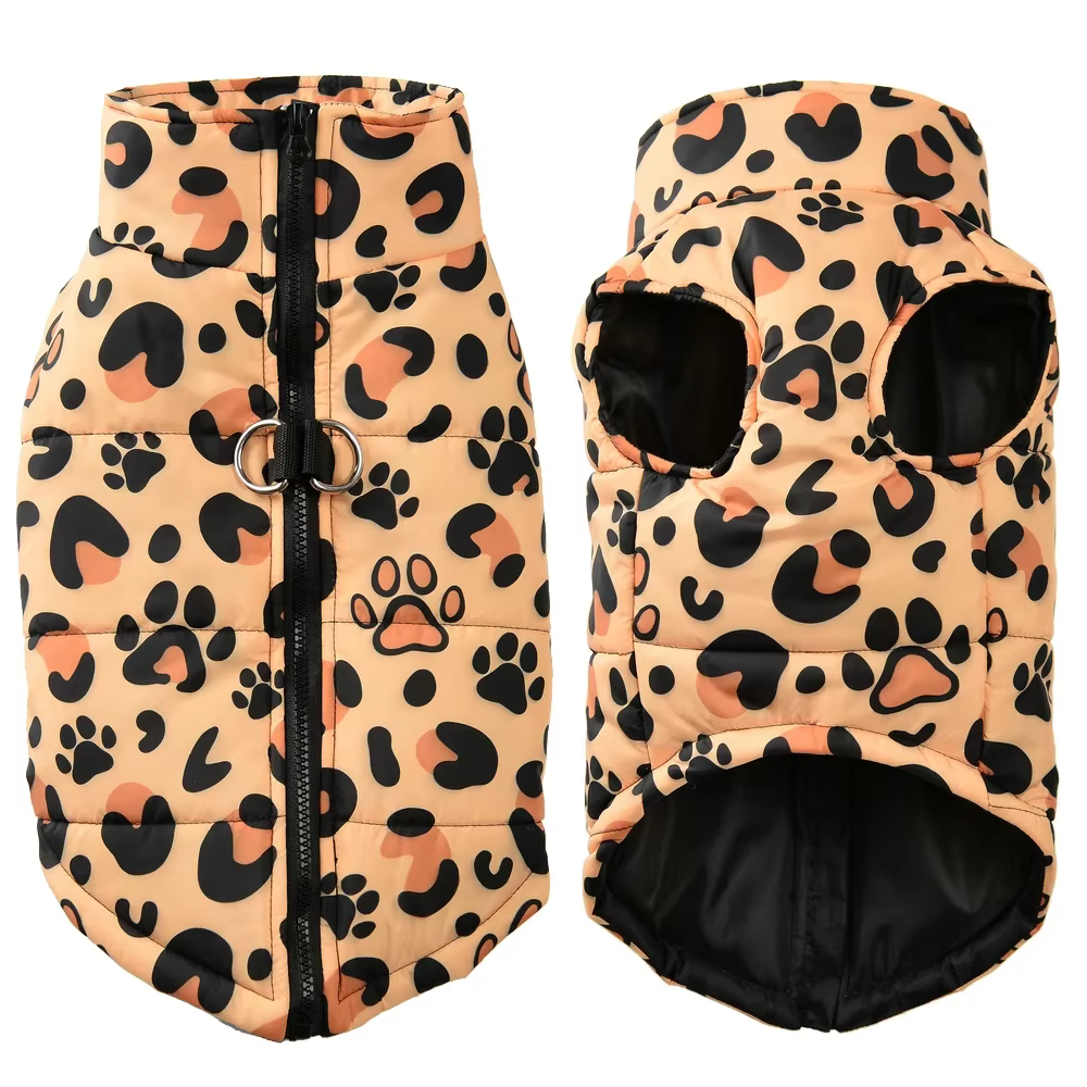 Perro con la chaqueta puesta