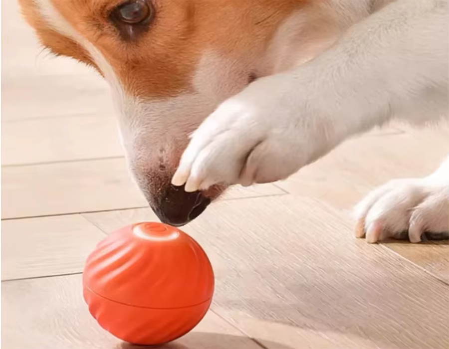 Juguete PetTumbly resistente y lavable para mascotas