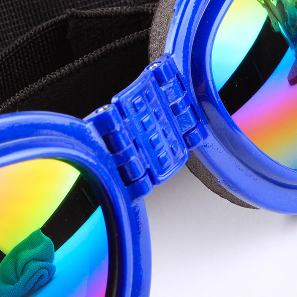 Mascota usando gafas plegables en paseo