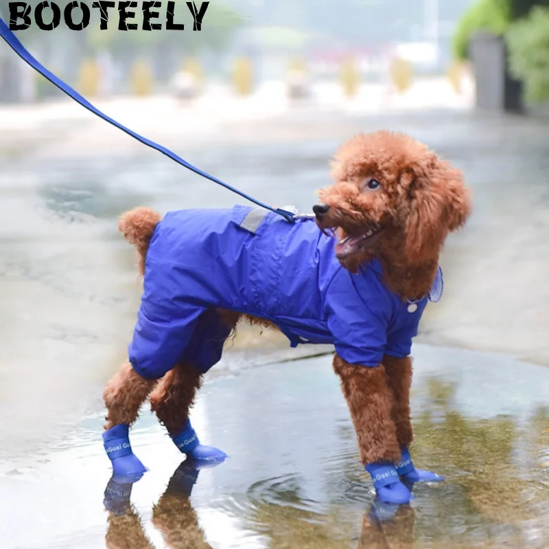 Bota de lluvia azul colocada en la pata de un cachorro