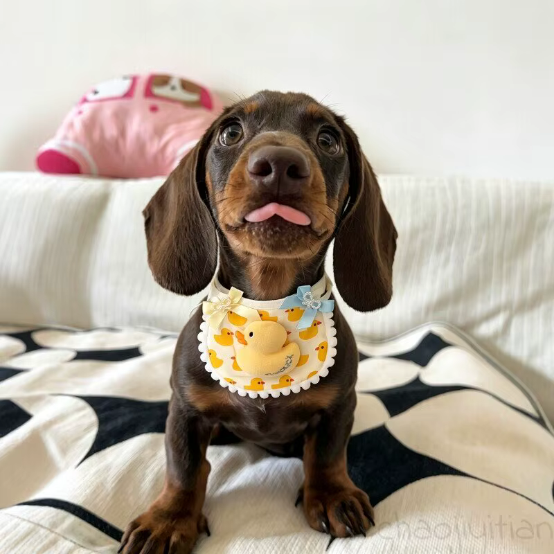 Babero de algodón para perro salchicha con pato amarillo