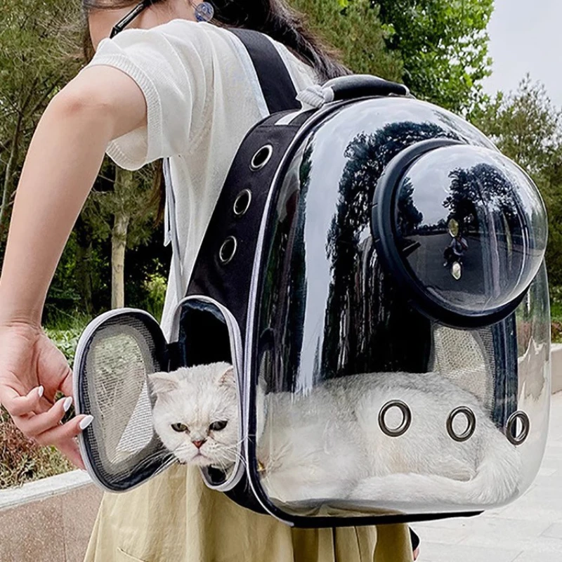 Gato asomándose por la burbuja transparente de la mochila