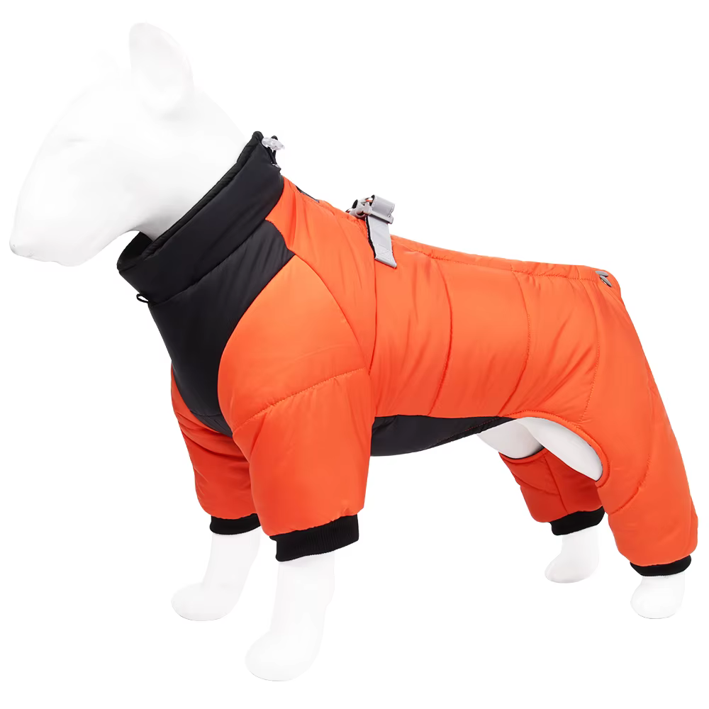 Perro pequeño usando el mono en exteriores con luz tenue